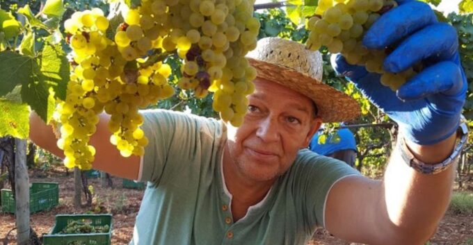 Mallorca: Wine Cellar Tour XL - 3 Wine Tastings Including GERMAN - Sommelier-led Guidance