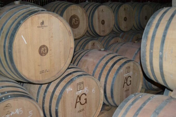 Mallorca: Wine Cellar Tour XL - 3 Wine Tastings Including GERMAN - Tour Restrictions