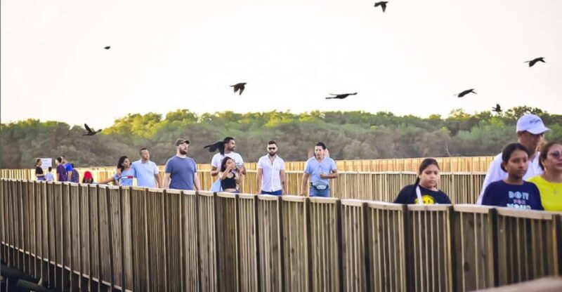 Mallorquin Eco-Park Walking Tour - Experience Highlights