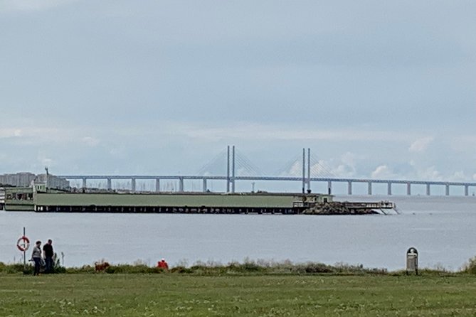 Malmo Walking Tour, 3 Hours (Small Group) - Meeting Details
