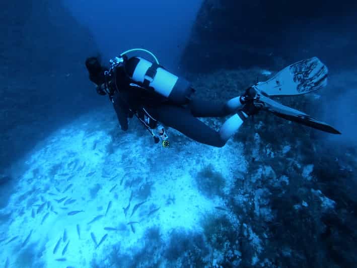Malta: 2 Scuba Fun Dives for Certified Divers - Diving Conditions and Experience