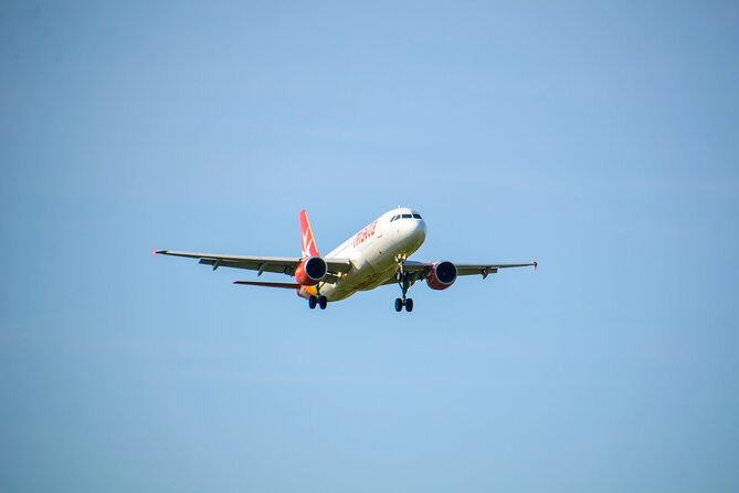Malta Airport Transfers - Positive Feedback Highlights