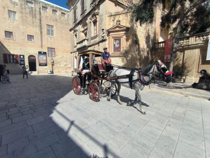 Malta: Ancient Wonders, Coastal Charms, and Cities Tour - Discovering Ancient Wonders