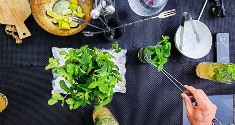 Malta: Cocktail Masterclass - Mojito History and Significance
