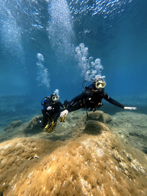 Malta: First Time Scuba Diving in a Small Group - Key Points