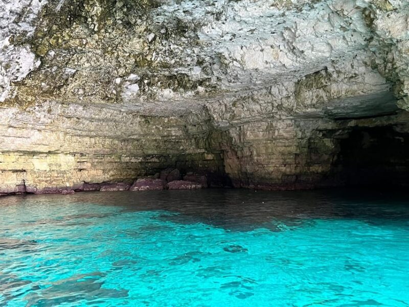 Malta, Gozo and Comino : Boat Charters -Day and Sunset Tours - Key Points