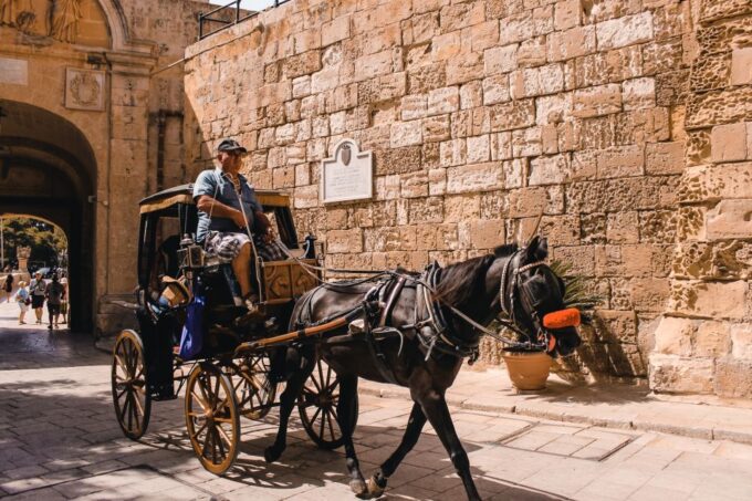 Malta: Highlights of Malta & Mdina Full Day Tour With Lunch - Customer Feedback and Ratings