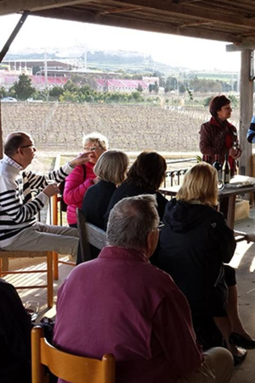 Malta: Premium Wine Tasting Experience - Wine Tasting Journey