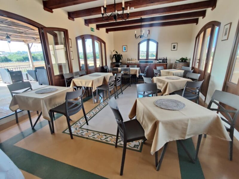 Malta: Premium Wine Tasting Experience - Vineyard Exploration