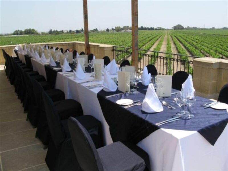 Malta: Premium Wine Tasting Experience - Winemaking Insights
