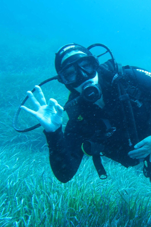 Malta: Scuba Diving Experience for Beginners W/Certificate - Included Features