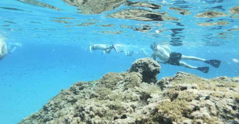 Malta: Snorkeling Tour - Health Restrictions