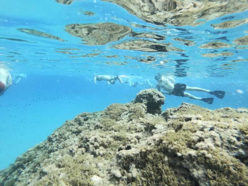 Malta: Snorkeling Tour - Gear and Essentials