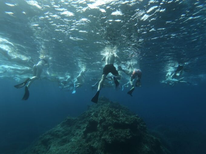 Malta: Snorkeling Tour - Bookings and Cancellations