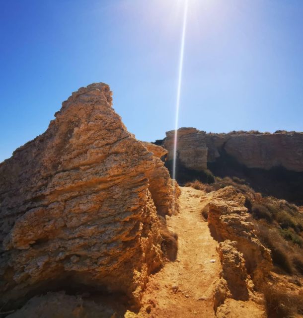 Malta: Snorkeling Tour - Customer Feedback and Ratings
