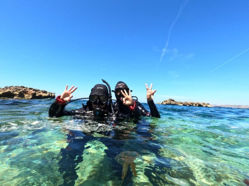 Malta: St. Pauls Bay 1 Day Scuba Diving Course - Key Points