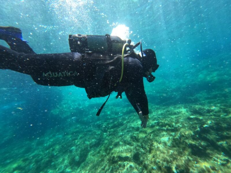 Malta: St. Pauls Bay 1 Day Scuba Diving Course - Scuba Theory and Skills
