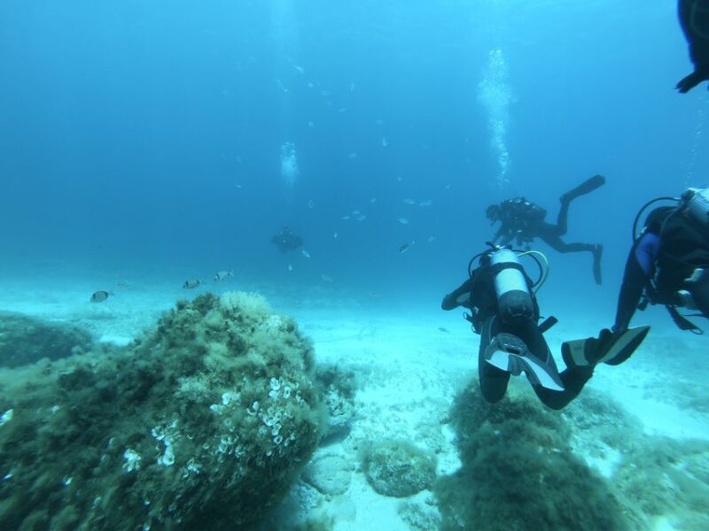 Malta: St. Pauls Bay 1 Day Scuba Diving Course - Open Water Dives