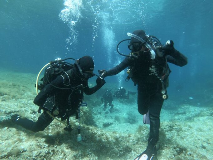 Malta: St. Pauls Bay 1 Day Scuba Diving Course - What to Expect