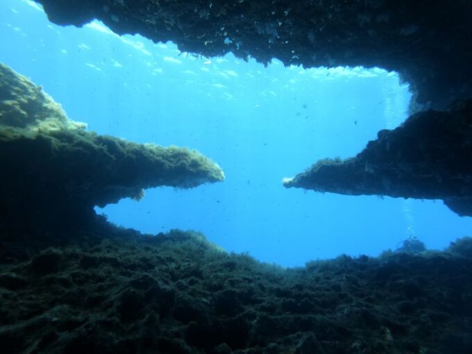 Malta: St. Pauls Bay 1 Day Scuba Diving Course - Recommendations