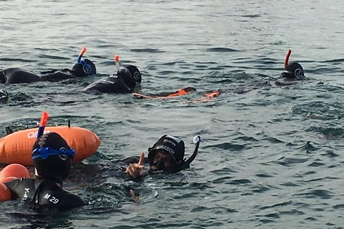 Malta Sunset Snorkeling - Tour Details