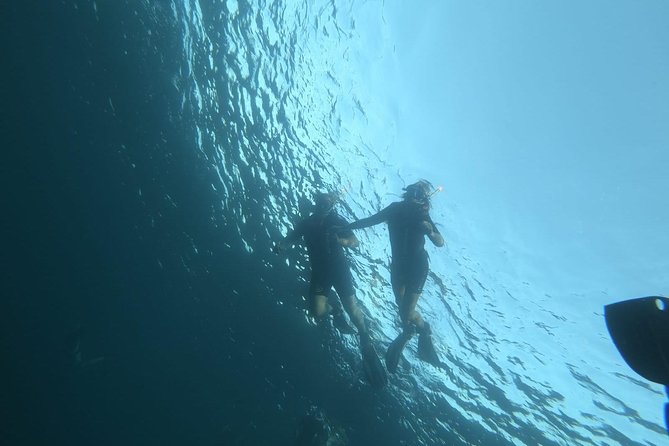 Malta Sunset Snorkeling - Knowledgeable and Passionate Guides