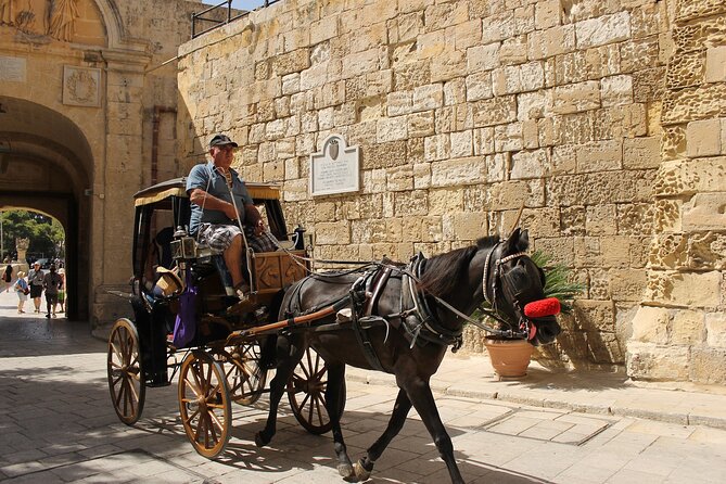 Malta Tour the Unveiling Island Treasures - Optional Activities and Experiences