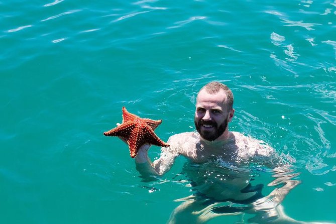 Mamangua Speedboat Tour - Wildlife Spotting and Snorkeling
