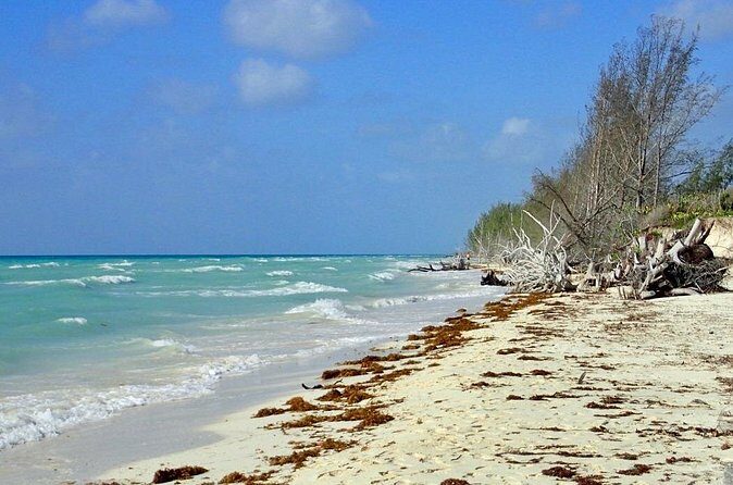 Mamma Gal Celeb-Key Native Exp. Shared Tour - Frequently Asked Questions
