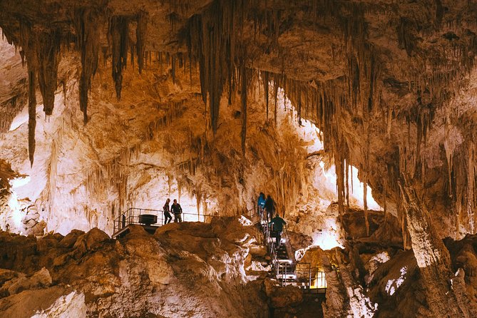 Mammoth Cave Self-guided Audio Tour (Located in Western Australia) - Accessibility and Booking Details