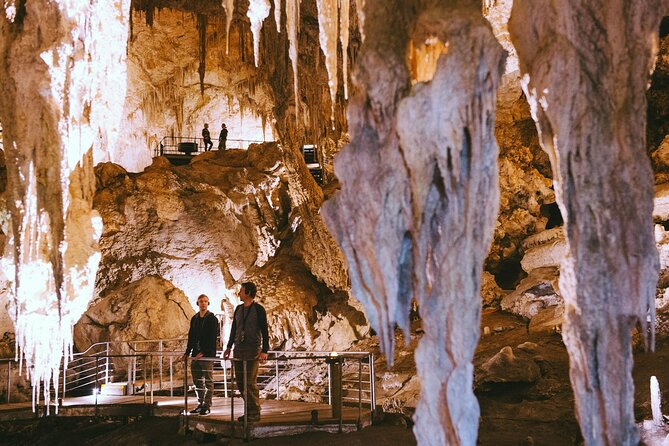 Mammoth Cave Self-guided Audio Tour (Located in Western Australia) - Serene Forest Setting