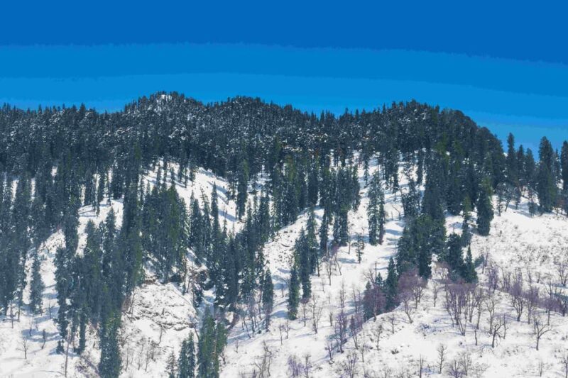 Manali: Atal Tunnel, Sissu & Solang Valley Sightseeing Tour - Adventure Activities and Fees