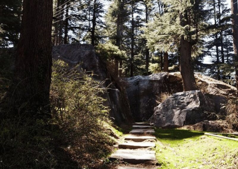 Manali Nature Walk (3 Hours Guided Trekking Experience) - Detailed Itinerary