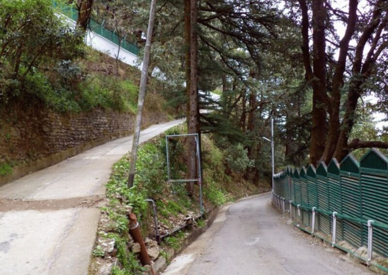 Manali Nature Walk (3 Hours Guided Trekking Experience) - Highlights of the Trek