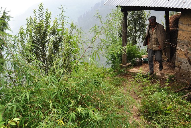 Manali Village Tour - Booking Information