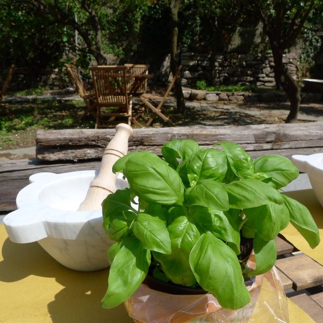 Manarola: Pesto Making Class With Tasting and Wine - Instructor Information