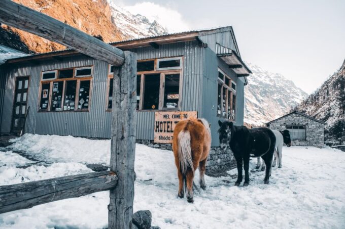 Manaslu Circuit Trek – 17 Days - Frequently Asked Questions