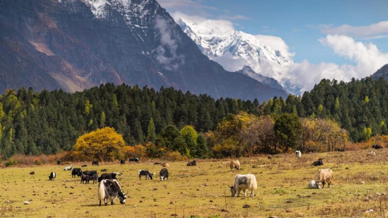Manaslu Circuit Trek, Nepal - Landscapes and Natural Wonders