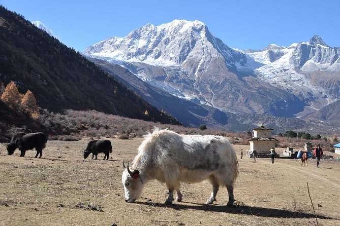 Manaslu Tsum Valley Trekking - Packing and Gear