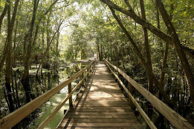 Manatee Adventure, Airboat, Lunch, Wildlife Park With Transport - Homosassa Springs State Park