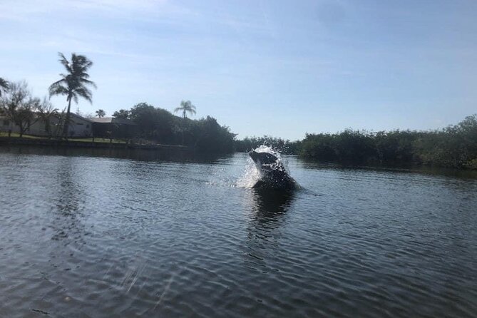 Manatee and Dolphin Kayak Tour - Meeting and Pickup
