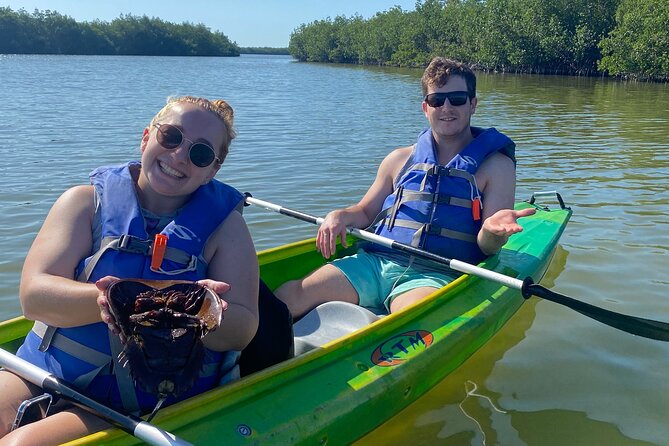 Manatee and Dolphin Kayak Tour - Highly Rated Guides