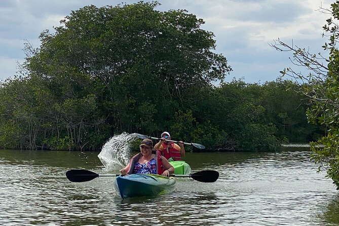 Manatee and Dolphin Kayak Tour - Tour Highlights