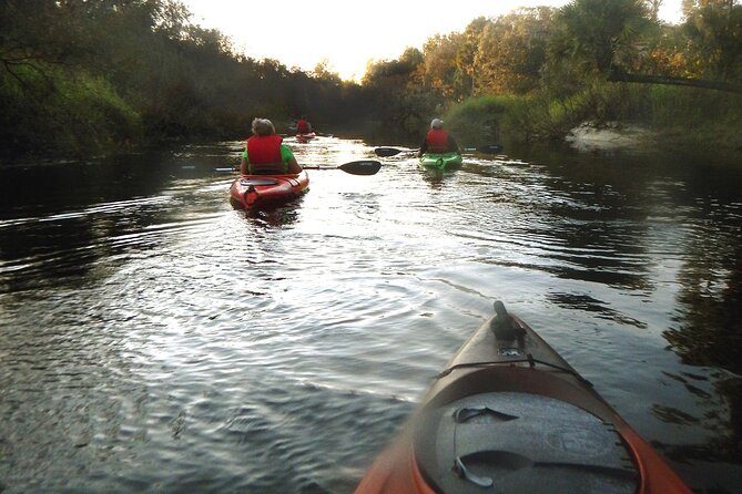Manatee and Dolphin Kayaking Encounter - Preparation and What to Bring