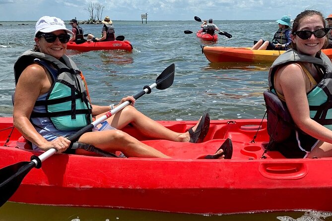 Manatee and Dolphin Kayaking Encounter - Exploring the Merritt Island Refuge