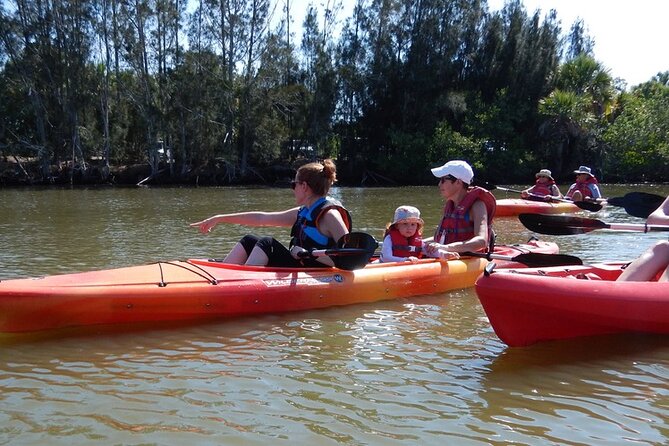 Manatee and Dolphin Kayaking Encounter - Guided Commentary and Ecosystem