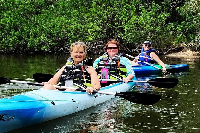 Manatee and Dolphin Kayaking Encounter - Activity Duration and Accessibility