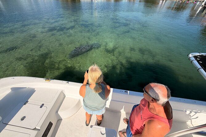 Manatee and Wildlife Boat Tour - Meeting Point and Logistics