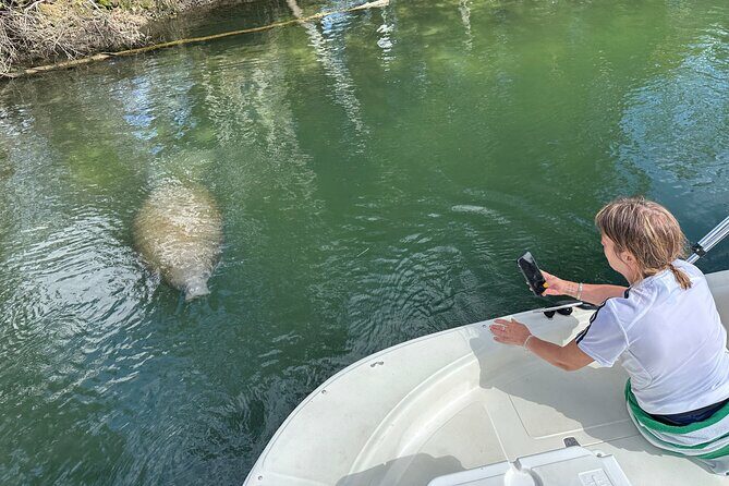 Manatee and Wildlife Boat Tour - Who Is This Tour Best For?