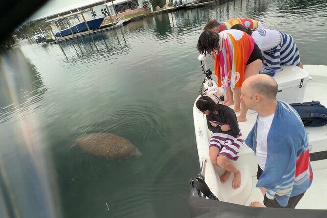 Manatee and Wildlife Boat Tour - Summary: Is This the Right Tour for You?